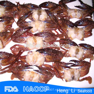 HL003 здоровые морепродукты мороженые морские крабы целые круглые и полурезанные